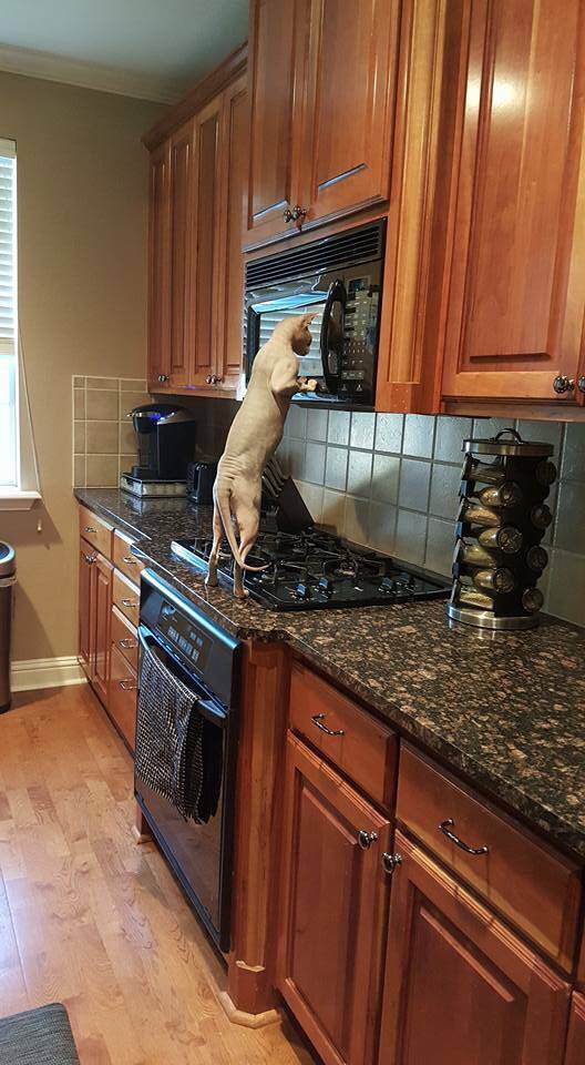 morning picdump 53 pics 13.html - 53 HD Photos | Premium Gallery 2015