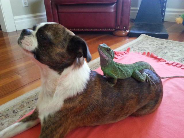 morning picdump 52 pics 26.html - 52 HD Photos | Premium Gallery 2015