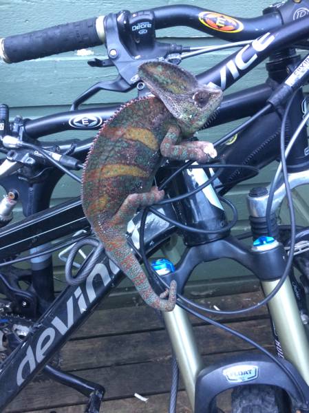 morning picdump 55 pics 24.html - 55 HD Photos | Premium Gallery 2015