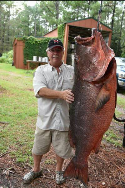 morning picdump 55 pics 24.html - 55 HD Photos | Premium Gallery 2015