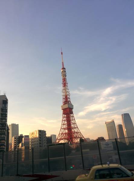 morning picdump 55 pics 24.html - 55 HD Photos | Premium Gallery 2015