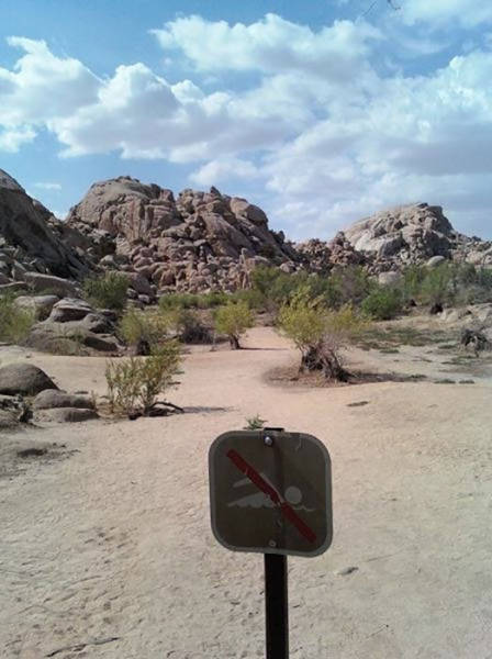 morning picdump 55 pics 24.html - 55 HD Photos | Premium Gallery 2015