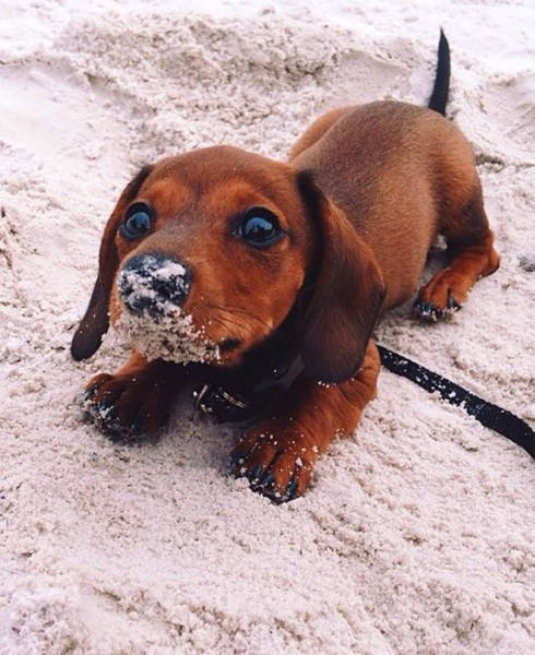 morning picdump 55 pics 10.html - 55 HD Photos | Premium Gallery 2015