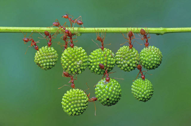 morning picdump 55 pics 10.html - 55 HD Photos | Premium Gallery 2015