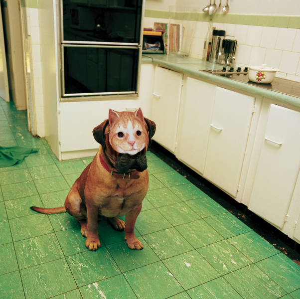 morning picdump 53 pics 14.html - 53 HD Photos | Premium Gallery 2015