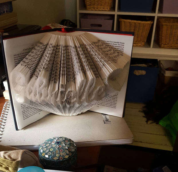 morning picdump 53 pics 14.html - 53 HD Photos | Premium Gallery 2015