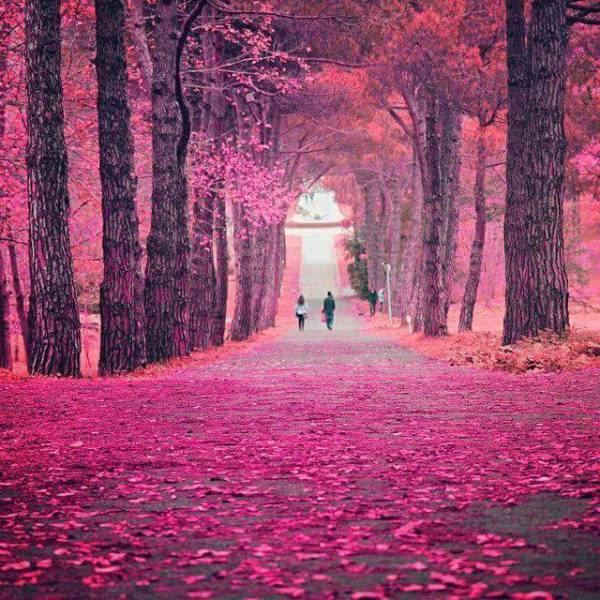 morning picdump 50 pics 9.html - 50 HD Photos | Premium Gallery 2015