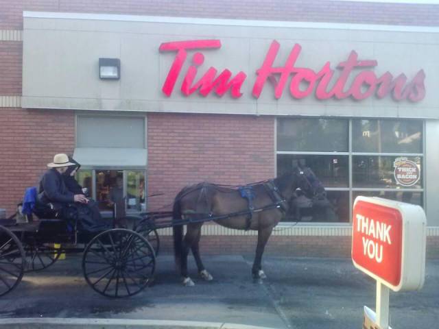 morning picdump 53 pics 21.html - 53 HD Photos | Premium Gallery 2015