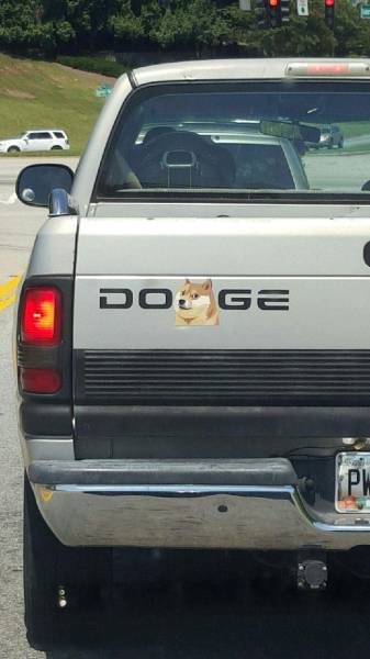 morning picdump 53 pics 21.html - 53 HD Photos | Premium Gallery 2015