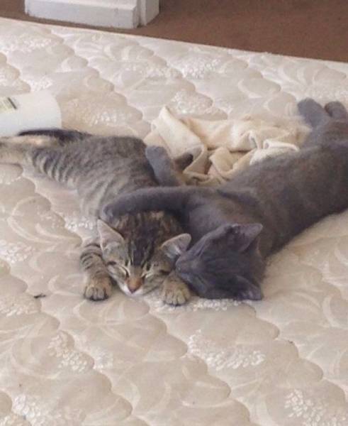 morning picdump 53 pics 21.html - 53 HD Photos | Premium Gallery 2015