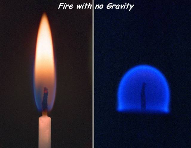 page,39,top 1500 daily pics of the year 2015.html - 1 HD Photos | Premium Gallery 2015