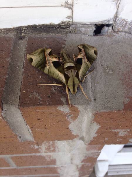 morning picdump 53 pics 18.html - 53 HD Photos | Premium Gallery 2015