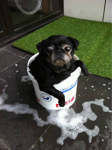 morning picdump 53 pics 18.html - 53 HD Photos | Premium Gallery 2015