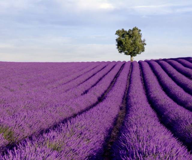 morning picdump 53 pics 18.html - 53 HD Photos | Premium Gallery 2015