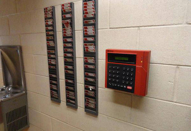 Scintillating Facts about the Sex Industry