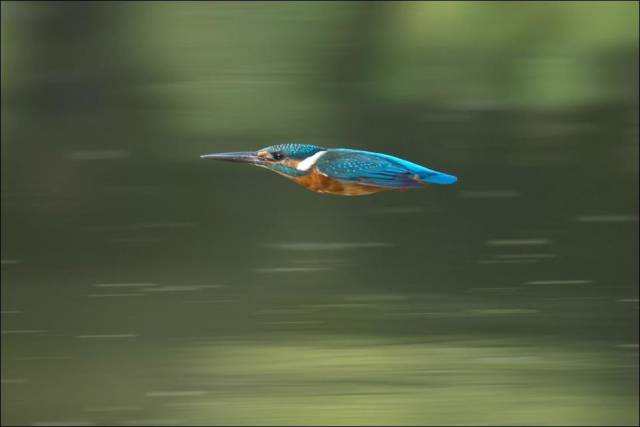 page,39,top 1500 daily pics of the year 2015.html - 1 HD Photos | Premium Gallery 2015