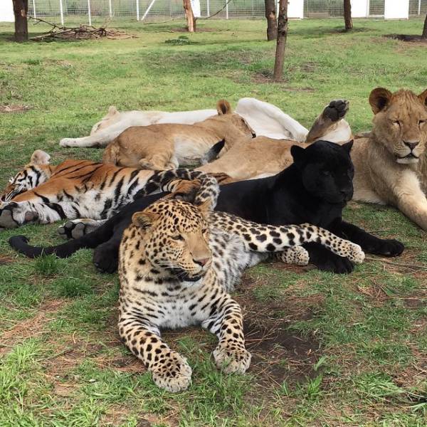 morning picdump 55 pics 5.html - 55 HD Photos | Premium Gallery 2015