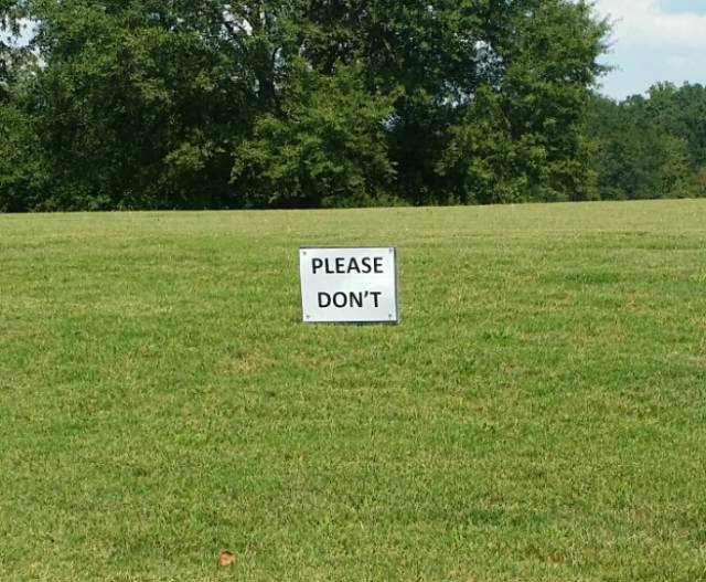 morning picdump 55 pics 5.html - 55 HD Photos | Premium Gallery 2015