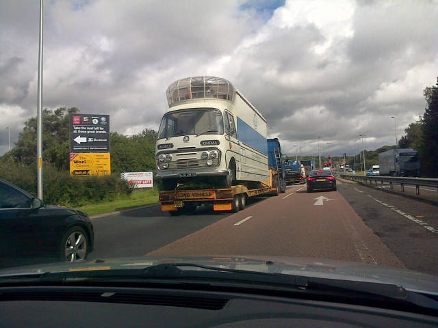 morning picdump 55 pics 5.html - 55 HD Photos | Premium Gallery 2015