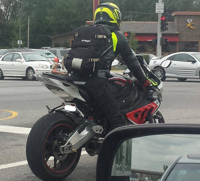 morning picdump 55 pics 5.html - 55 HD Photos | Premium Gallery 2015