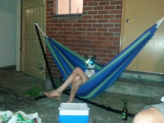 Wait, Take a Closer Look!