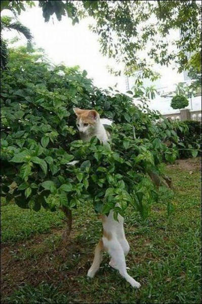 Wait, Take a Closer Look!