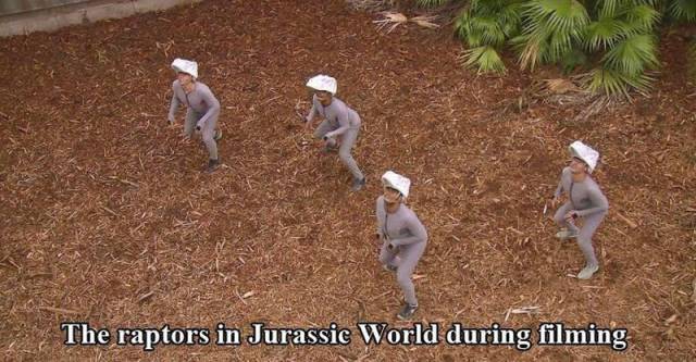 daily picdump 99 pics 60.html - 99 HD Photos | Premium Gallery 2015