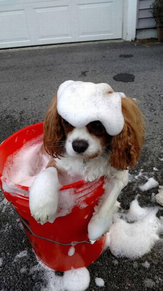 daily picdump 99 pics 60.html - 99 HD Photos | Premium Gallery 2015