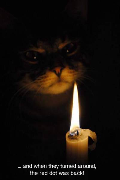 daily picdump 99 pics 60.html - 99 HD Photos | Premium Gallery 2015