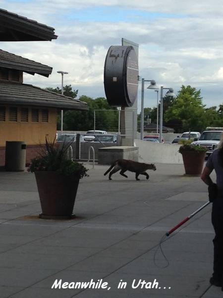 daily picdump 99 pics 60.html - 99 HD Photos | Premium Gallery 2015