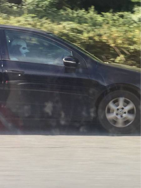 daily picdump 99 pics 60.html - 99 HD Photos | Premium Gallery 2015