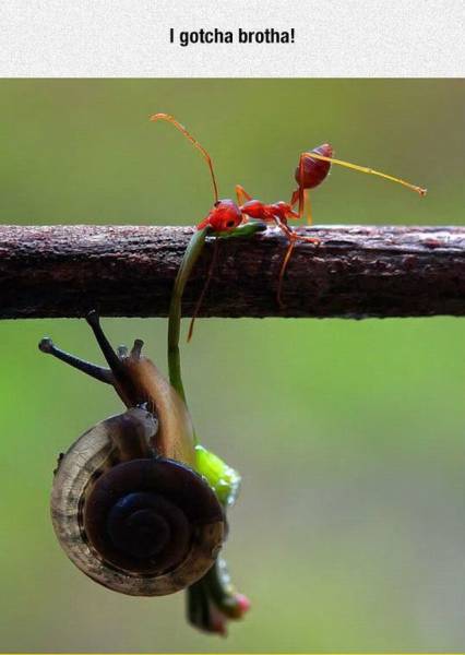 daily picdump 99 pics 60.html - 99 HD Photos | Premium Gallery 2015