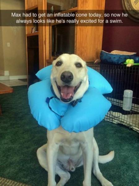 daily picdump 99 pics 60.html - 99 HD Photos | Premium Gallery 2015