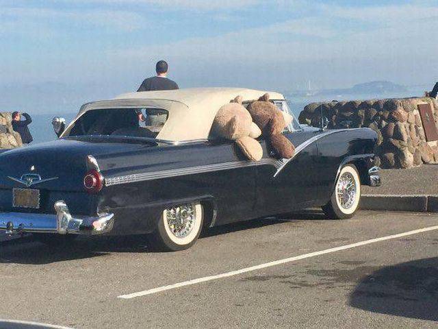 daily picdump 99 pics 60.html - 99 HD Photos | Premium Gallery 2015