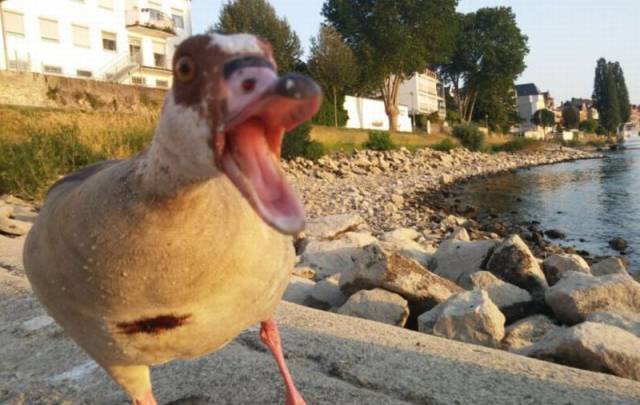 daily picdump 99 pics 60.html - 99 HD Photos | Premium Gallery 2015