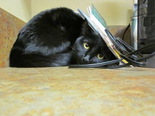 daily picdump 99 pics 60.html - 99 HD Photos | Premium Gallery 2015