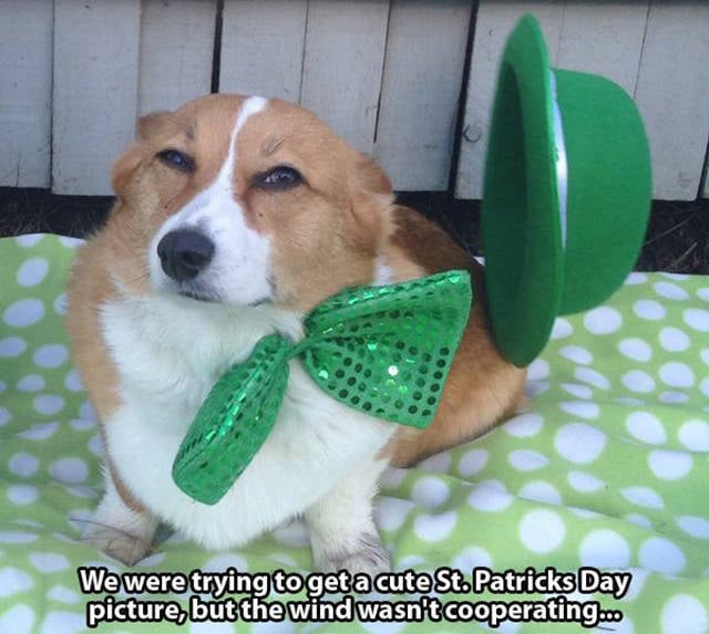 When Wind Is a Total Jerk