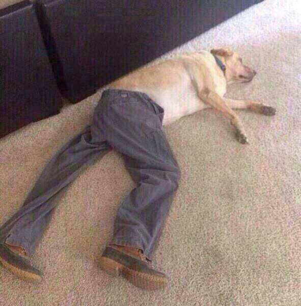 morning picdump 52 pics 6.html - 52 HD Photos | Premium Gallery 2015