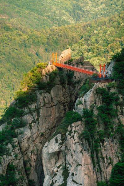 page,40,top 1500 daily pics of the year 2015.html - 1 HD Photos | Premium Gallery 2015