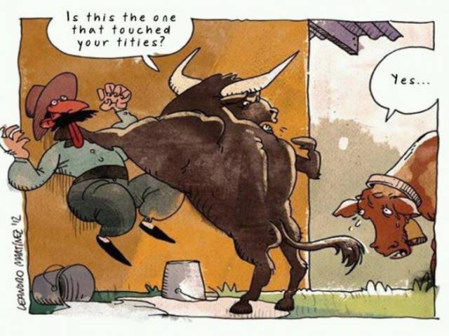 page,13,top 450 funny pics of the year 2015.html - 1 HD Photos | Premium Gallery 2015