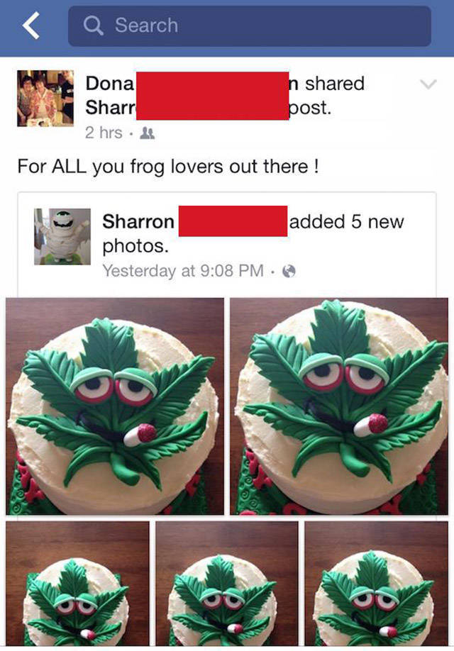 These People are the Epitome of Stupid