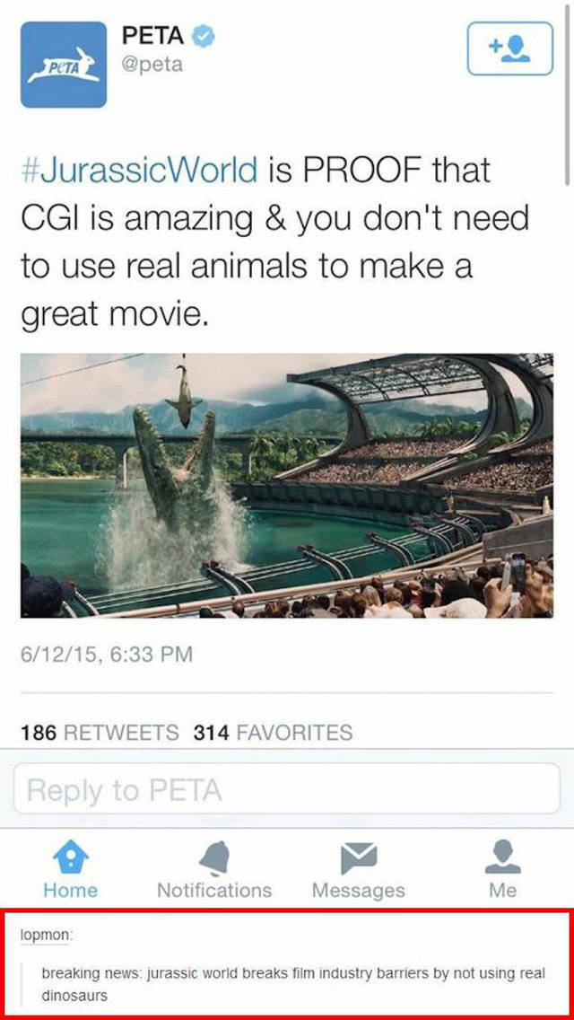 These People are the Epitome of Stupid