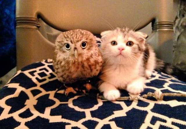 page,54,top 1500 daily pics of the year 2015.html - 1 HD Photos | Premium Gallery 2015