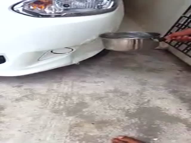 page,7,top 500 videos of the year 2015.html - 1 HD Video | Premium Gallery 2015