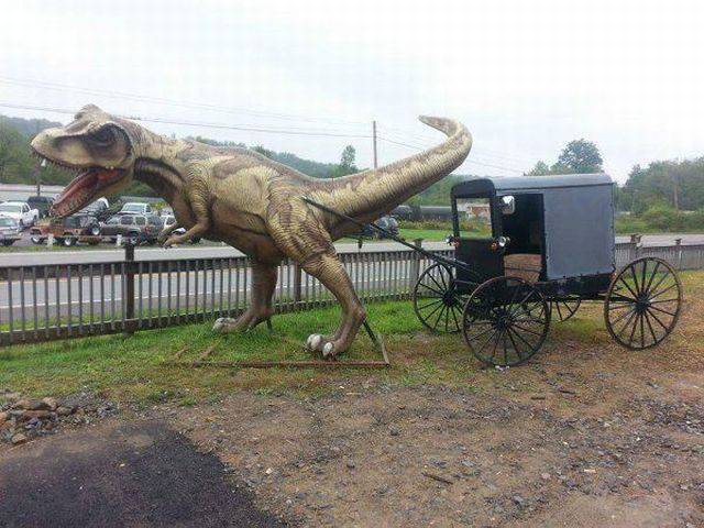 daily picdump 118 pics 1.html - 118 HD Photos | Premium Gallery 2015