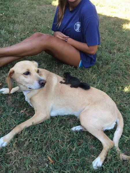 daily picdump 118 pics 1.html - 118 HD Photos | Premium Gallery 2015