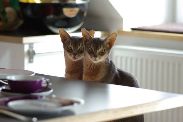 daily picdump 118 pics 1.html - 118 HD Photos | Premium Gallery 2015