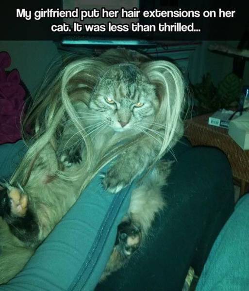 daily picdump 118 pics 1.html - 118 HD Photos | Premium Gallery 2015