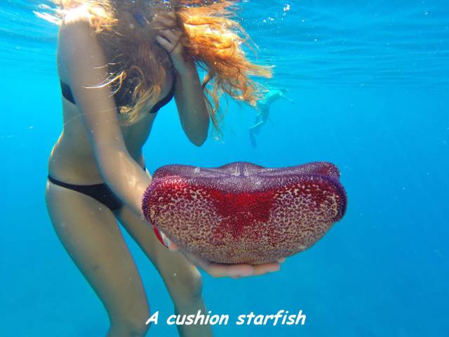 daily picdump 118 pics 1.html - 118 HD Photos | Premium Gallery 2015