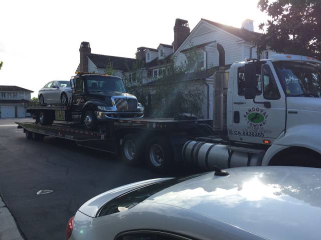 daily picdump 118 pics 1.html - 118 HD Photos | Premium Gallery 2015